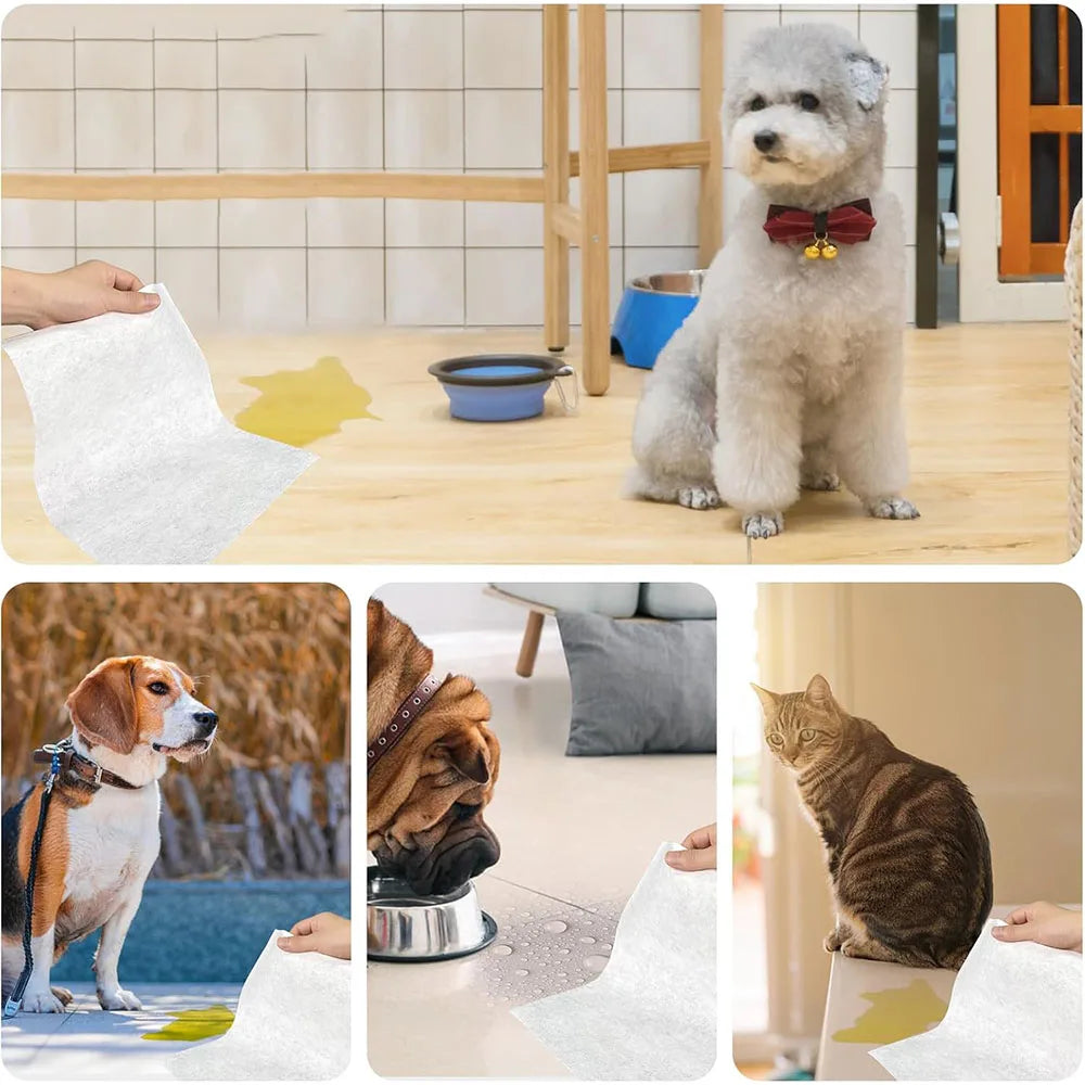 Pet Urine Absorbing Pads – Quick-Dry Disposable Cleaning Sheets