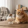 An orange tabby cat looks at a glass jar filled with pet hair on a wooden table.