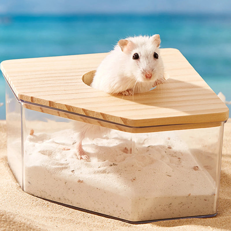 Bac à sable en acrylique transparent pour hamster