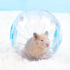 Clear Exercise Ball for Small Pets