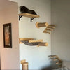 Wall-Mounted Wooden Cat Climbing Set with Sisal Scratching Post and Hammock