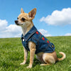 Un chien brun clair portant une veste en denim avec des broderies de fraises, assis dans l'herbe verte sous un ciel bleu.