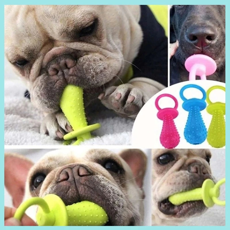 A French Bulldog is shown chewing a bright green rubber pacifier toy with a dental cleaning texture.