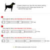 Taktisches Nylon-Hundehalsband mit Griff
