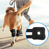 Dog Knee Support Brace for Arthritis and Joint Recovery