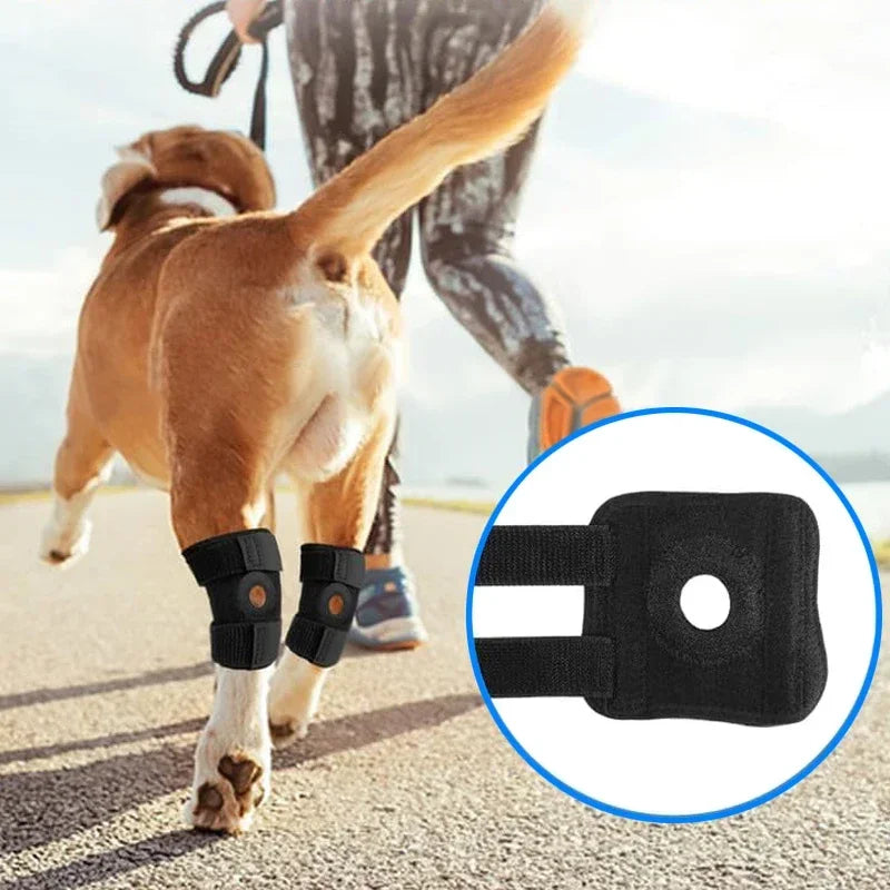 Dog Knee Support Brace for Arthritis and Joint Recovery