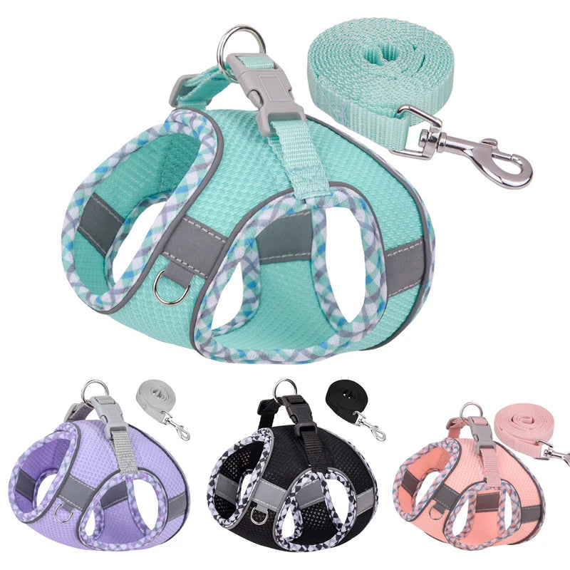 A set of adjustable reflective dog and cat harnesses in various colors, including teal, purple, black, and orange, with a lea