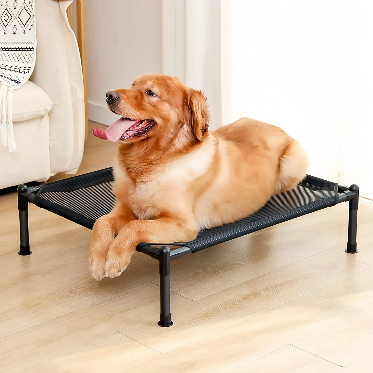 Foldable Elevated Pet Bed with Removable Washable Cover
