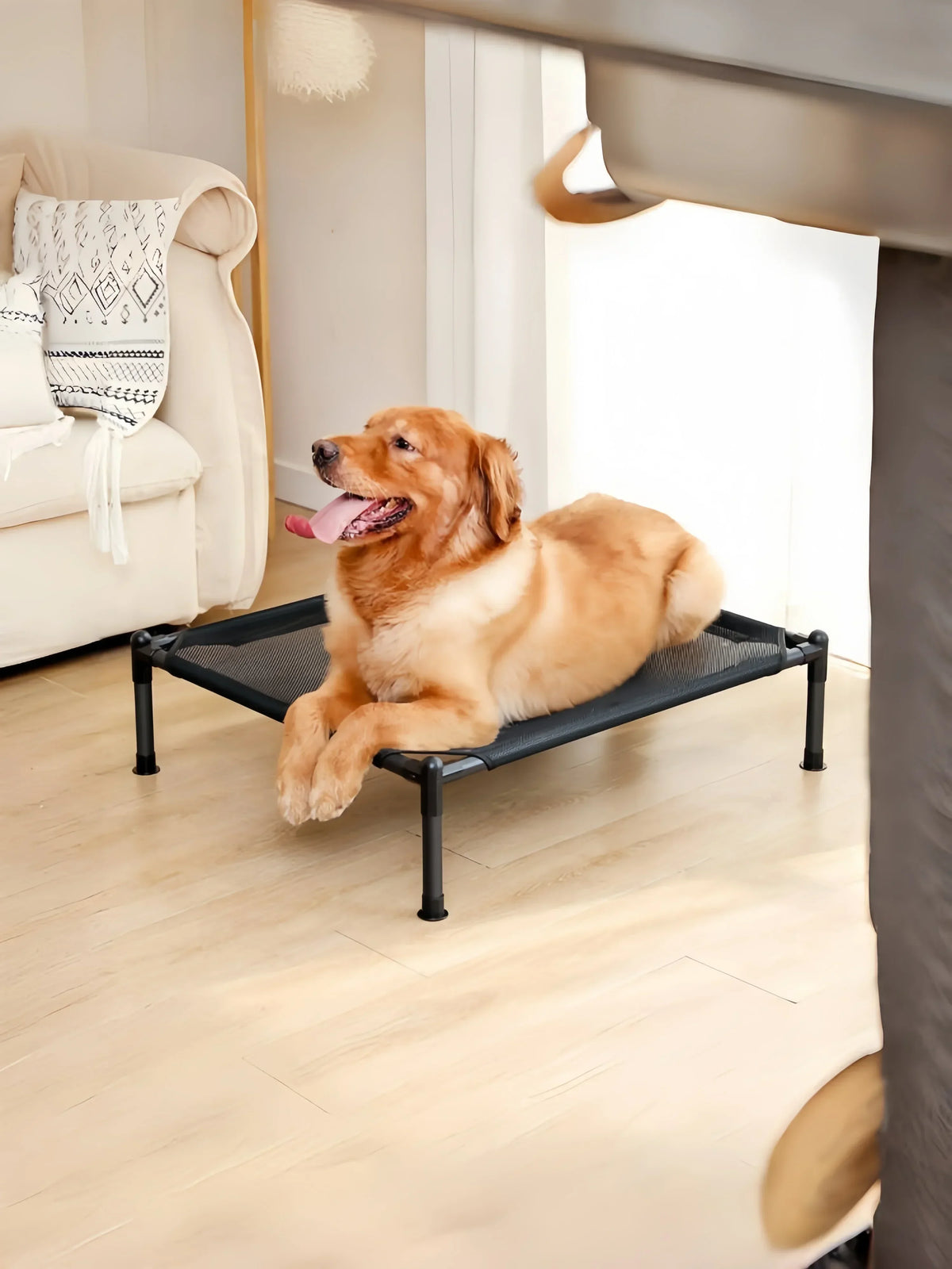 Foldable Elevated Pet Bed with Removable Washable Cover