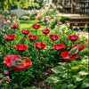 Decorative Flower Bird Feeder and Waterer for Garden