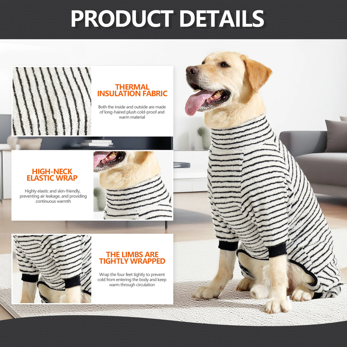 Ein goldener Retriever trägt einen gestreiften Thermokleid für Wärme.