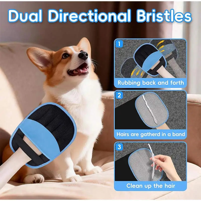 A dog wearing blue and black dual directional bristles for pet hair removal