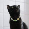 A black cat wearing a pastel floral beaded necklace collar.
