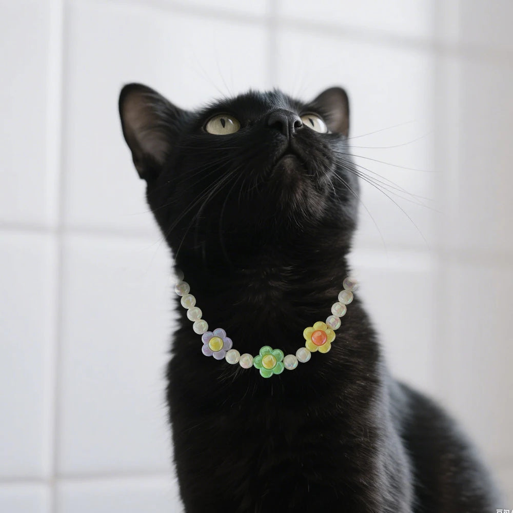 A black cat wearing a pastel floral beaded necklace collar.