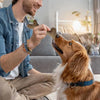 A man is giving a natural wood dog chew stick to a golden retriever.