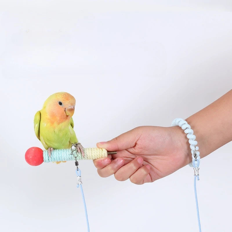 A hand holds a parrot with an outdoor training harness featuring a red ball and blue cord.