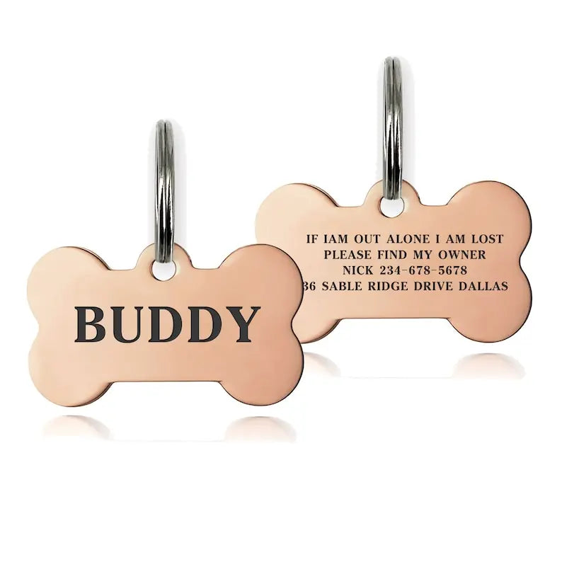 A rose gold engraved bone-shaped pet ID tag with the name BUDDY and contact information on a silver chain.