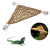 Natural Seaweed Reptile Hammock with Suction Cups