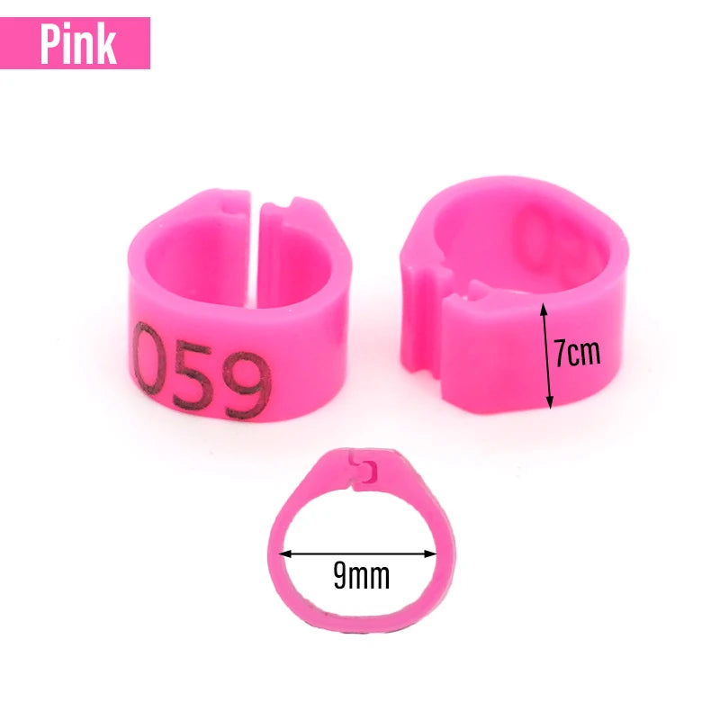 Bagues en plastique numérotées pour pattes d'oiseaux (9 mm)