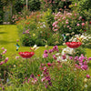 Decorative Flower Bird Feeder and Waterer for Garden