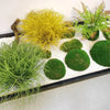 A display of green and yellow ornamental grasses and moss in a rectangular planter with white gravel.