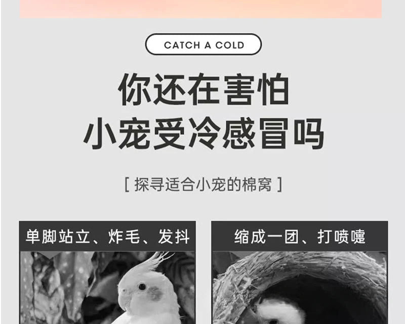 عش قطن للطيور داخل القفص للببغاوات وبادجات