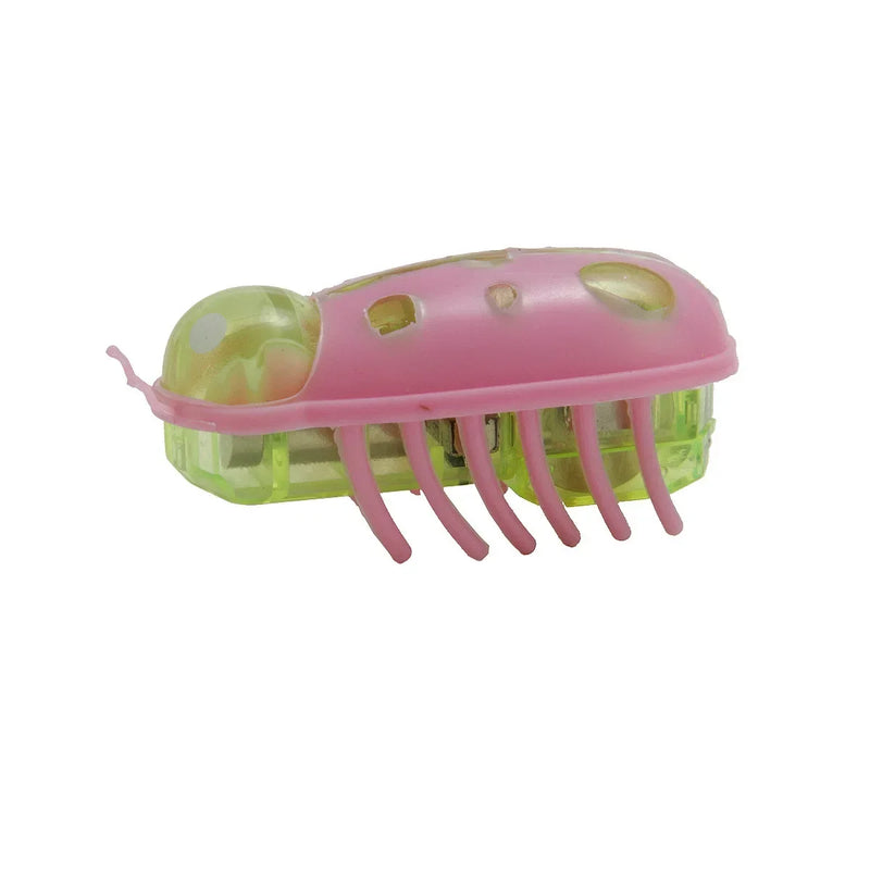 Electric Catnip Bug Toy for Cats