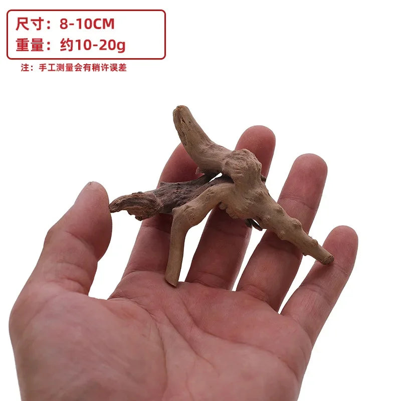 A hand holds a piece of natural driftwood branches, suitable for reptile and turtle habitats.