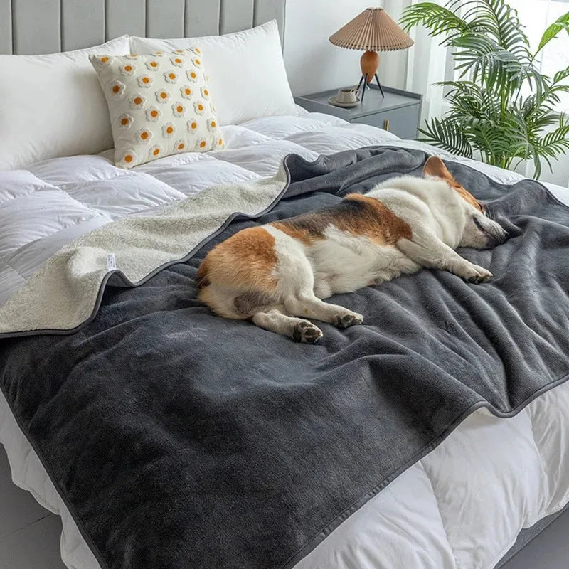 Waterproof Pet Blanket