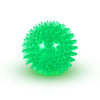 Squeaky Rubber Dog Ball Toy