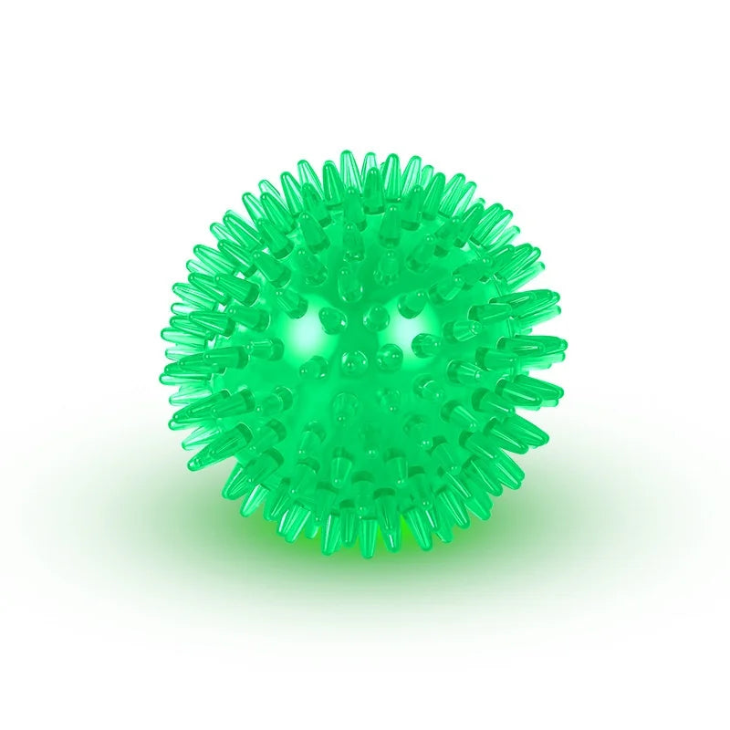 Squeaky Rubber Dog Ball Toy