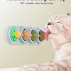 Edible Catnip Wall Balls for Dental Care and Play