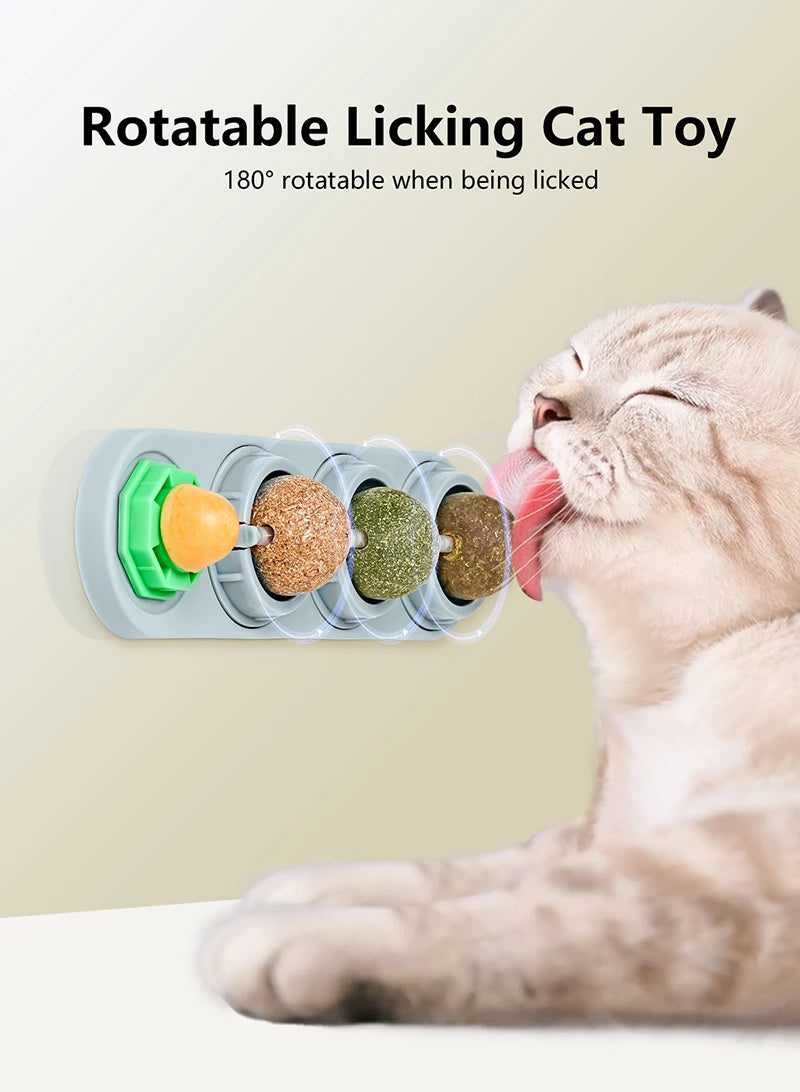 Edible Catnip Wall Balls for Dental Care and Play