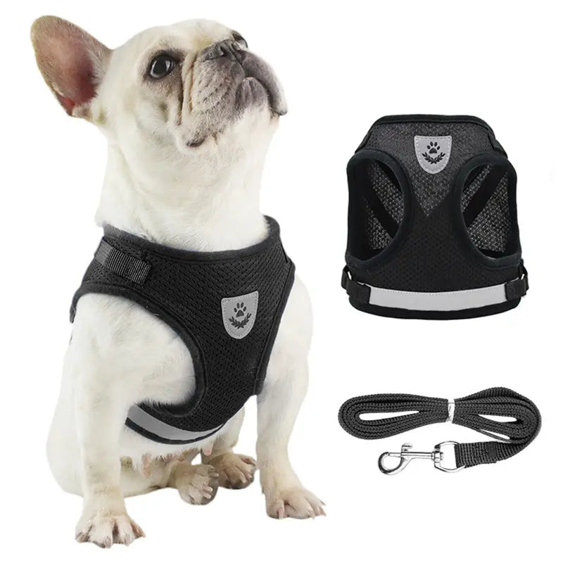 Reflektierendes Mesh-Hundegeschirr mit Leine