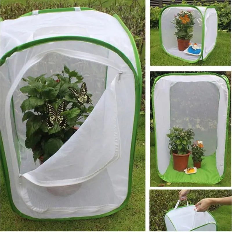 A green and white collapsible mesh insect breeding cage shown in various uses, including holding plants.
