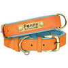 Personalisierte gepolsterte Leder-Hundehalsband mit graviertem Namensschild