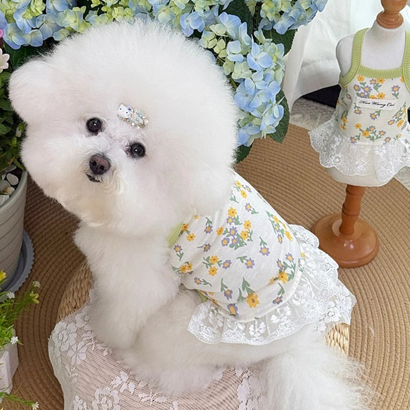 Vestido Floral de Encaje para Mascotas