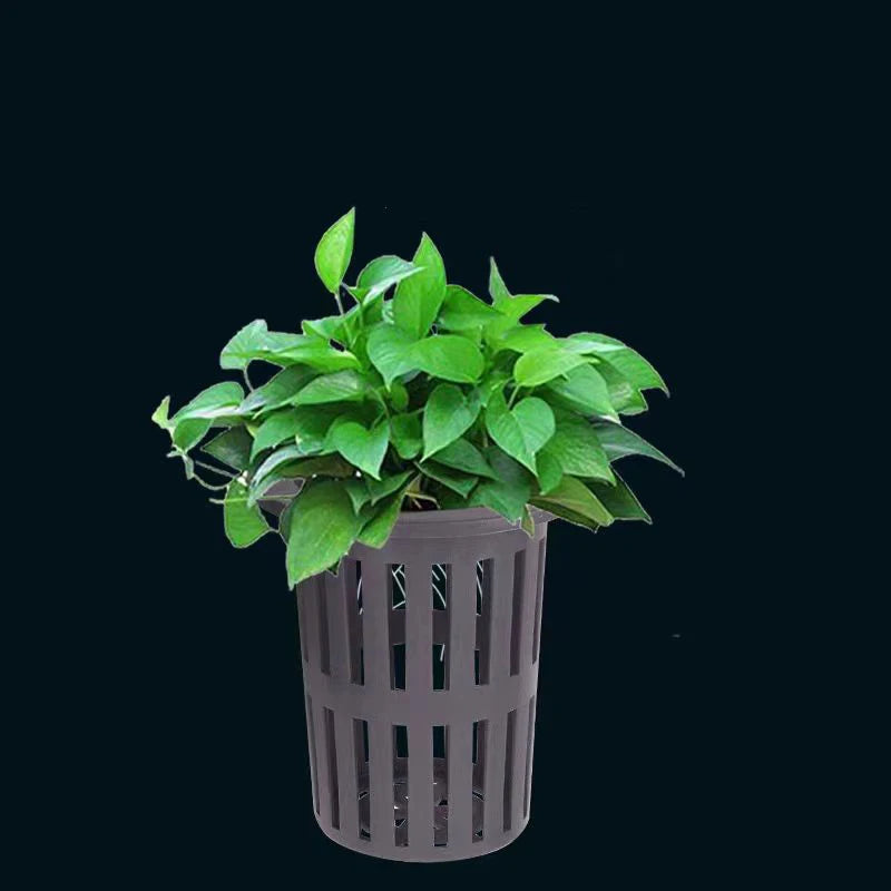 Wall-Mounted Aquarium Plant Basket with Hanging Hook