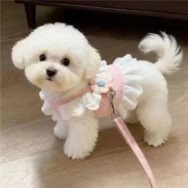 Princess Lace Pet Harness and Leash Set for Small Dogs and Cats