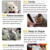 Pack de Jouets pour Chatons