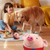 Jouet en peluche interactif pour chien qui rebondit