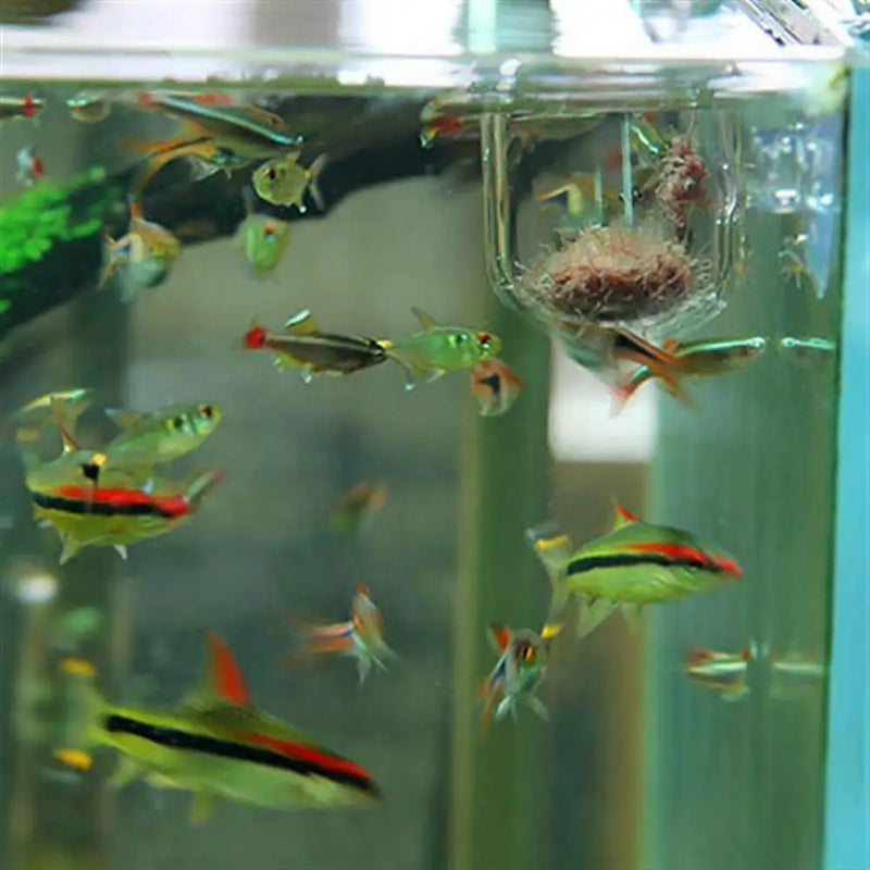 Acrylic Aquarium Plant Cup with Suction Holder