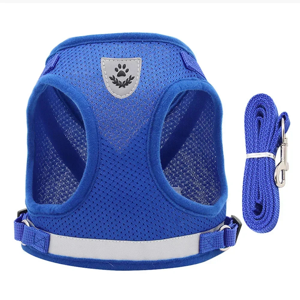 Adjustable Escape-Proof Mesh Harness and Leash Set for Cats and Small Dogs