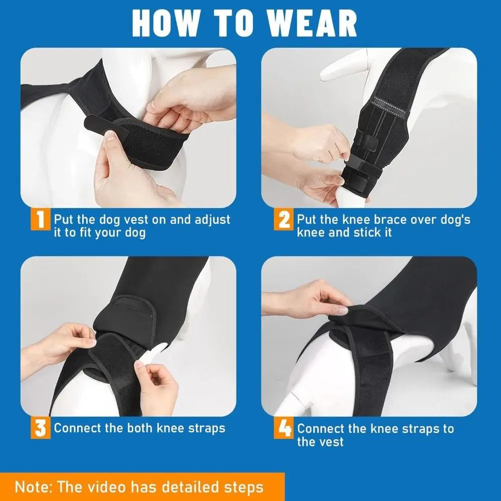 Instructions showing how to wear an adjustable dog knee and joint support vest brace