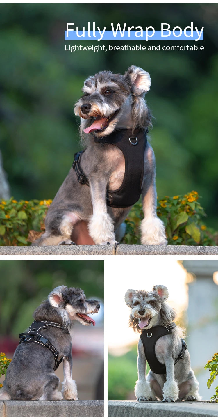Reflective No-Pull Dog Harness with Quick-Release Buckles