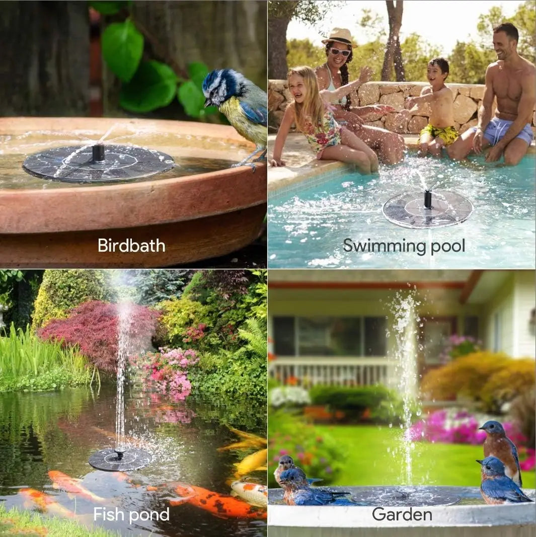 A collection of water features including a birdbath, swimming pool, fish pond, and garden fountain.