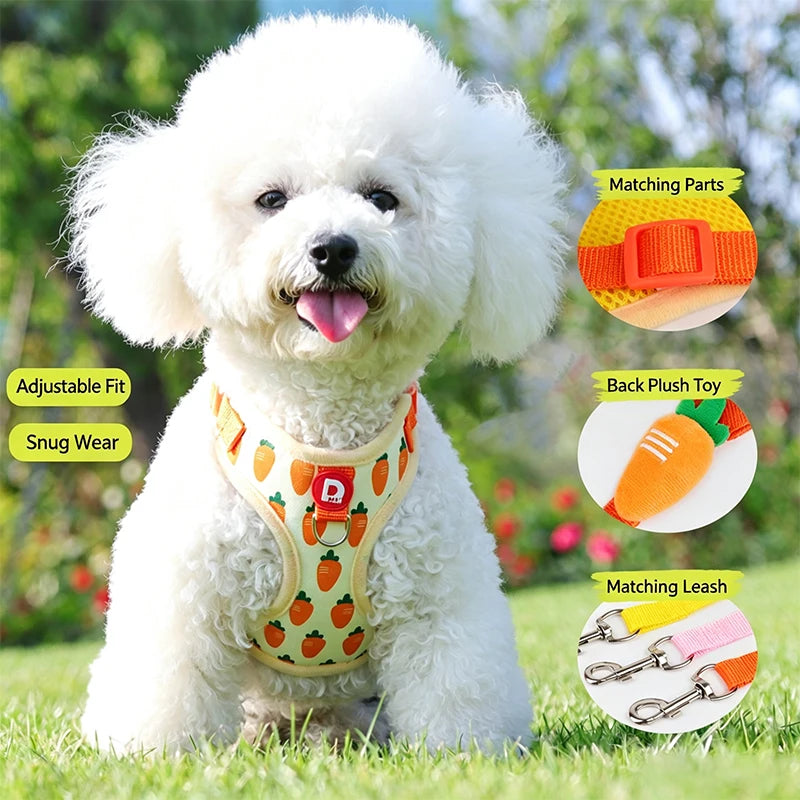 Strawberry Print Dog Harness and Leash Set