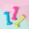 Durable Rubber Chew Toy for Small Dogs