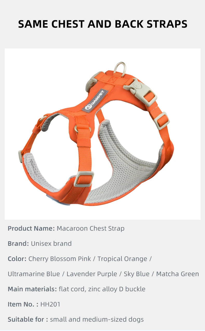 Reflective Nylon Dog Leash with Quick-Release Clip – 150cm