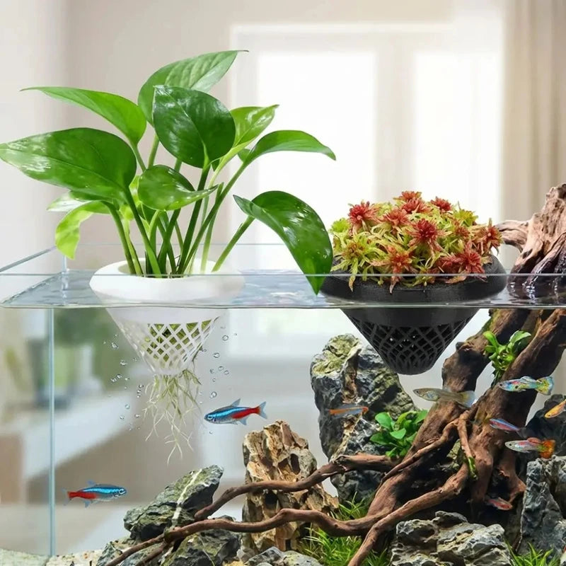 A floating aquarium plant pot featuring green leaves and a small red moss plant displayed in a glass tank with driftwood.